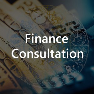 Finance Consultation