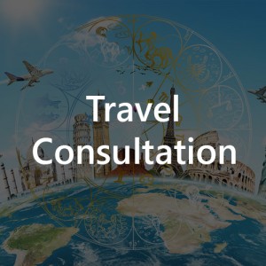 Travel Consultation