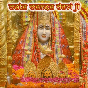 Mansa Devi Bhog Prasad 1100